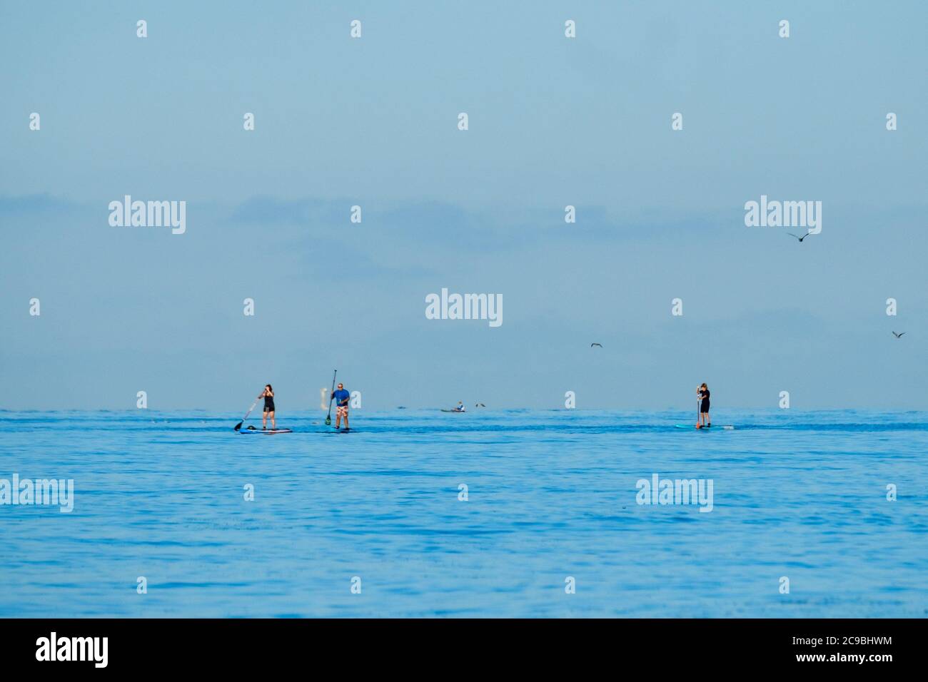 Worthing Beach, Worthing, Royaume-Uni. 30 juillet 2020. Les Paddleboarders apprécient le calme matin de la mer . Avec un ciel bleu clair et des eaux plates, les paddle-boards profitent du petit matin au large de la côte du sussex. Rampion Wind Farm peut être vu 13-20km au large. Photo par crédit : Julie Edwards/Alamy Live News Banque D'Images