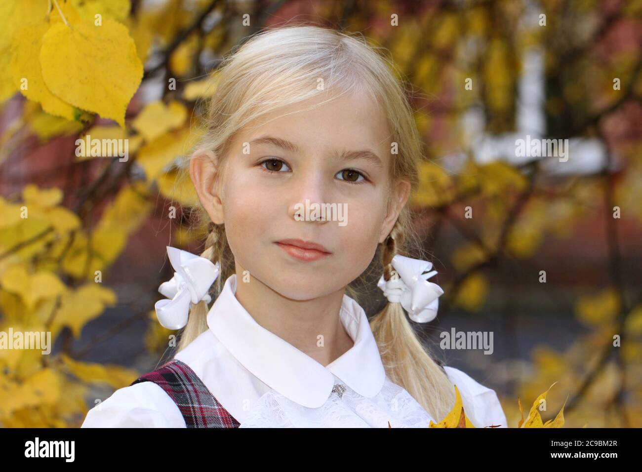 Une écolière blonde de race blanche va à l'école en automne sur fond de feuilles jaunes Banque D'Images