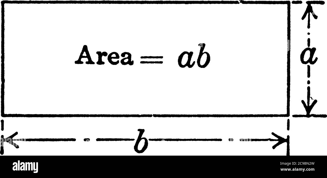 Rectangle de longueur b, largeur a et zone a qui est le produit de longueur  en largeur, dessin de ligne vintage ou illustration de gravure Image  Vectorielle Stock - Alamy