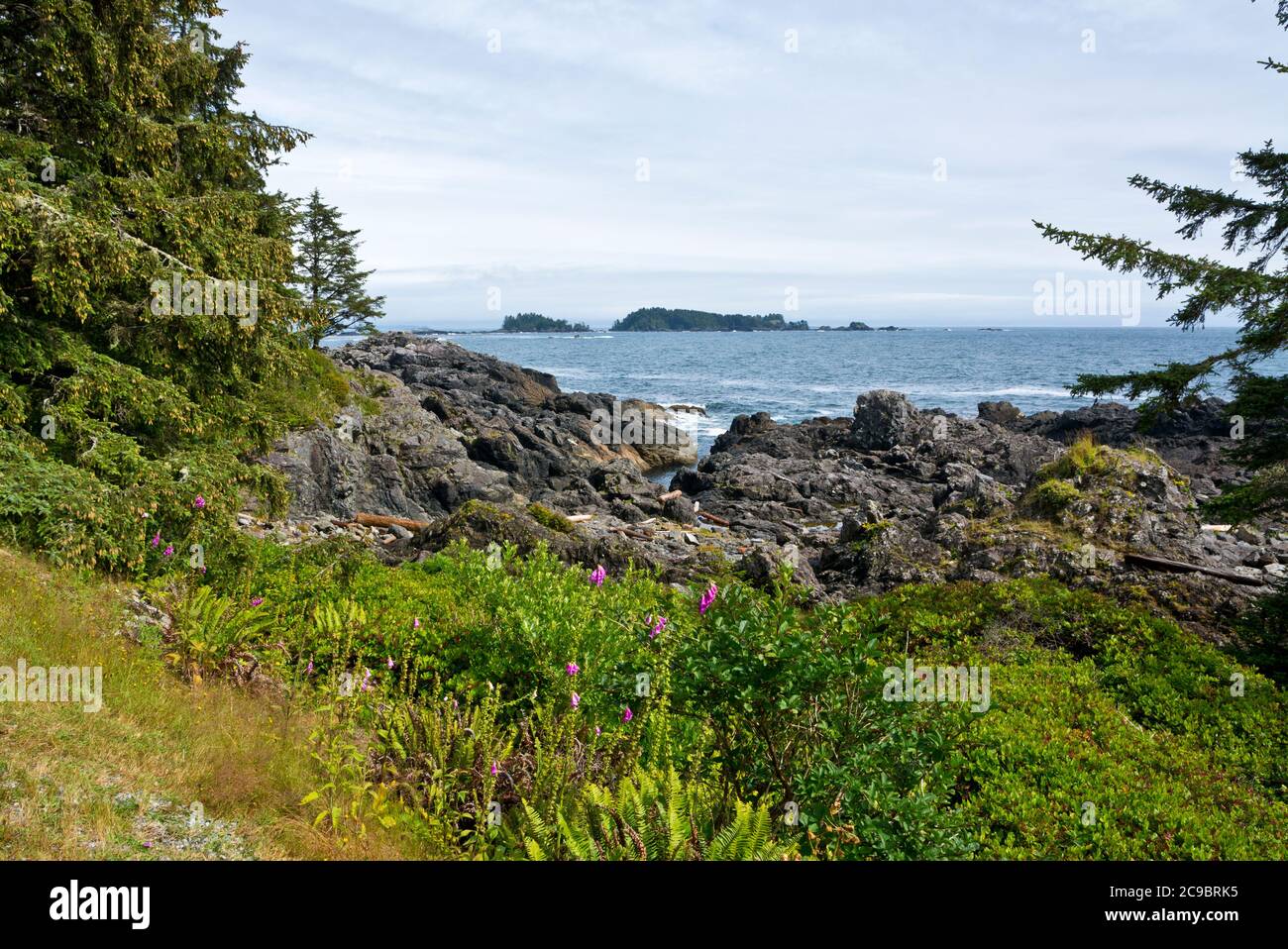 Belle vue sur l'océan à Ucluelet, Colombie-Britannique, Canada, vue depuis le sentier du Pacifique sauvage. Côte ouest du Canada. Banque D'Images