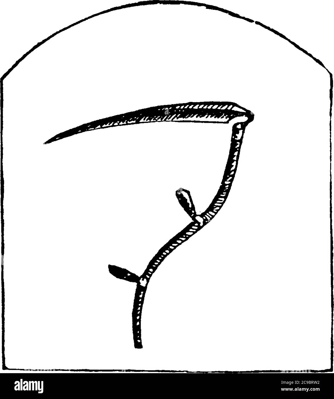 Scuthe outil utilisé pour couper des récoltes telles que l'herbe ou le maïs, avec une longue lame courbée à l'extrémité d'un long poteau attaché à une ou deux poignées courtes, v Illustration de Vecteur