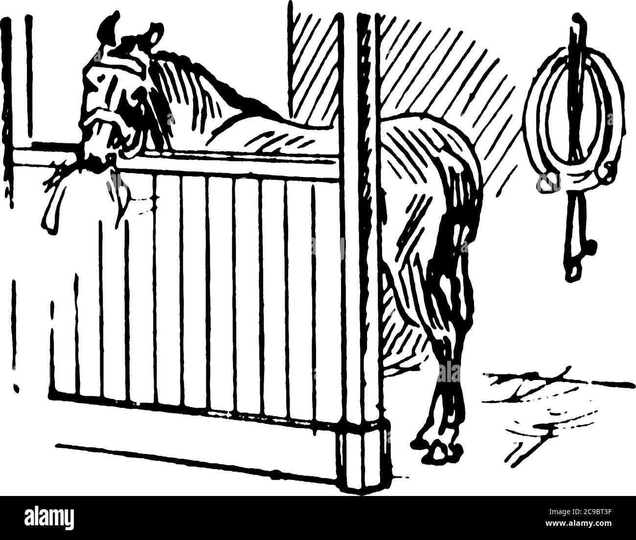 L'image représente un cheval se nourrissant dans un stable. Généralement, un cheval peut dormir à la fois allongé et debout, vintage dessin de ligne ou gravure illus Illustration de Vecteur