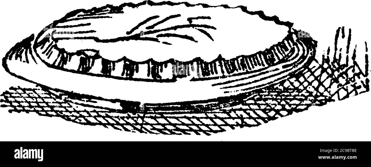 Une représentation typique d'une tarte, la pâte cuite avec quelque chose en elle ou sous elle, comme la pomme, la viande hachée, etc., le dessin de ligne vintage ou la gravure il Illustration de Vecteur