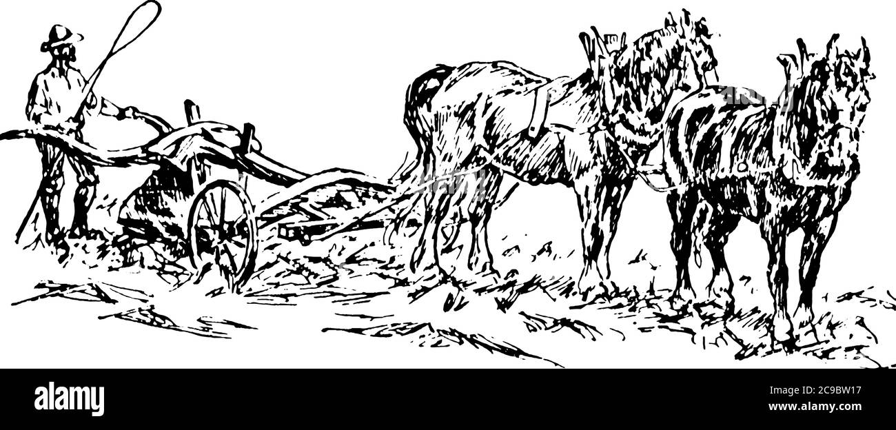 La photo représente un agriculteur labourant dans le champ agricole avec deux chevaux, dessin de ligne d'époque ou illustration de gravure. Illustration de Vecteur
