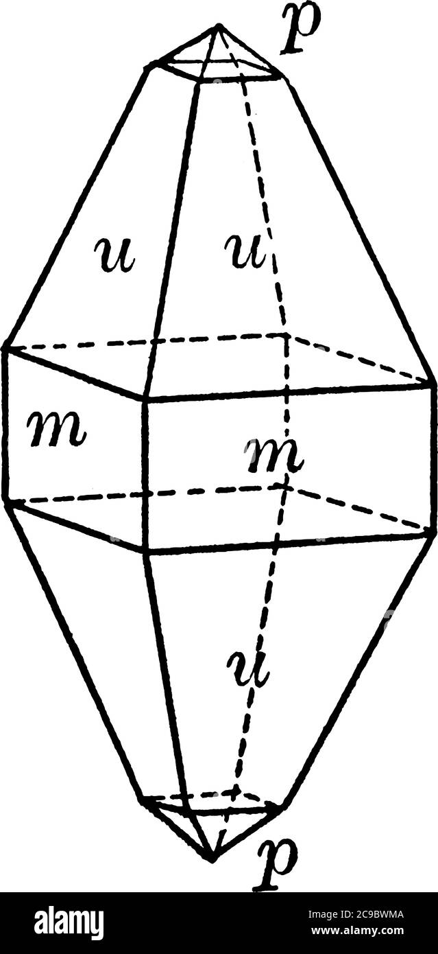 Une illustration Zircon, un dessin de ligne vintage ou une gravure. Illustration de Vecteur