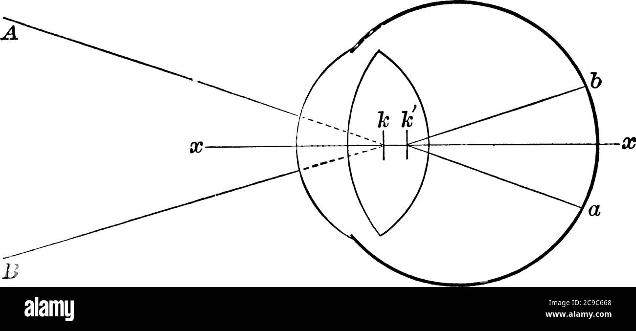Montrant les points auxquels les rayons incidents rencontrent la rétine, 'xx', l'axe optique, 'k', le premier point nodal, 'k', le deuxième point nodal, 'b', le point où l'im Illustration de Vecteur
