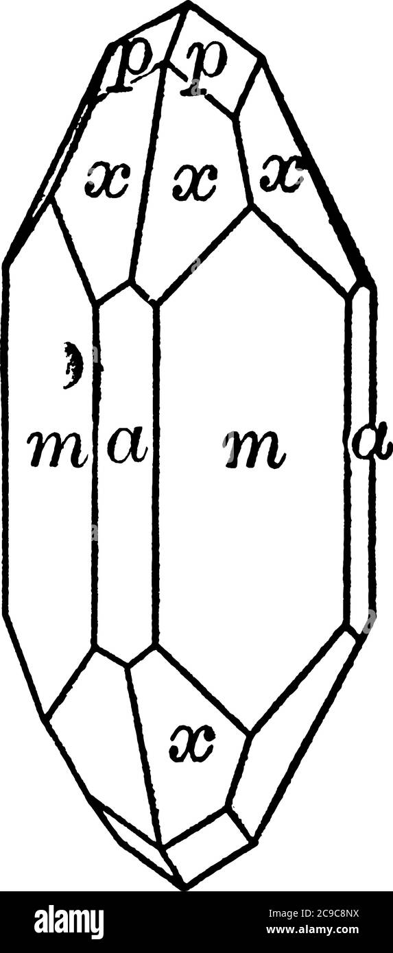 Une illustration Zircon, un dessin de ligne vintage ou une gravure. Illustration de Vecteur