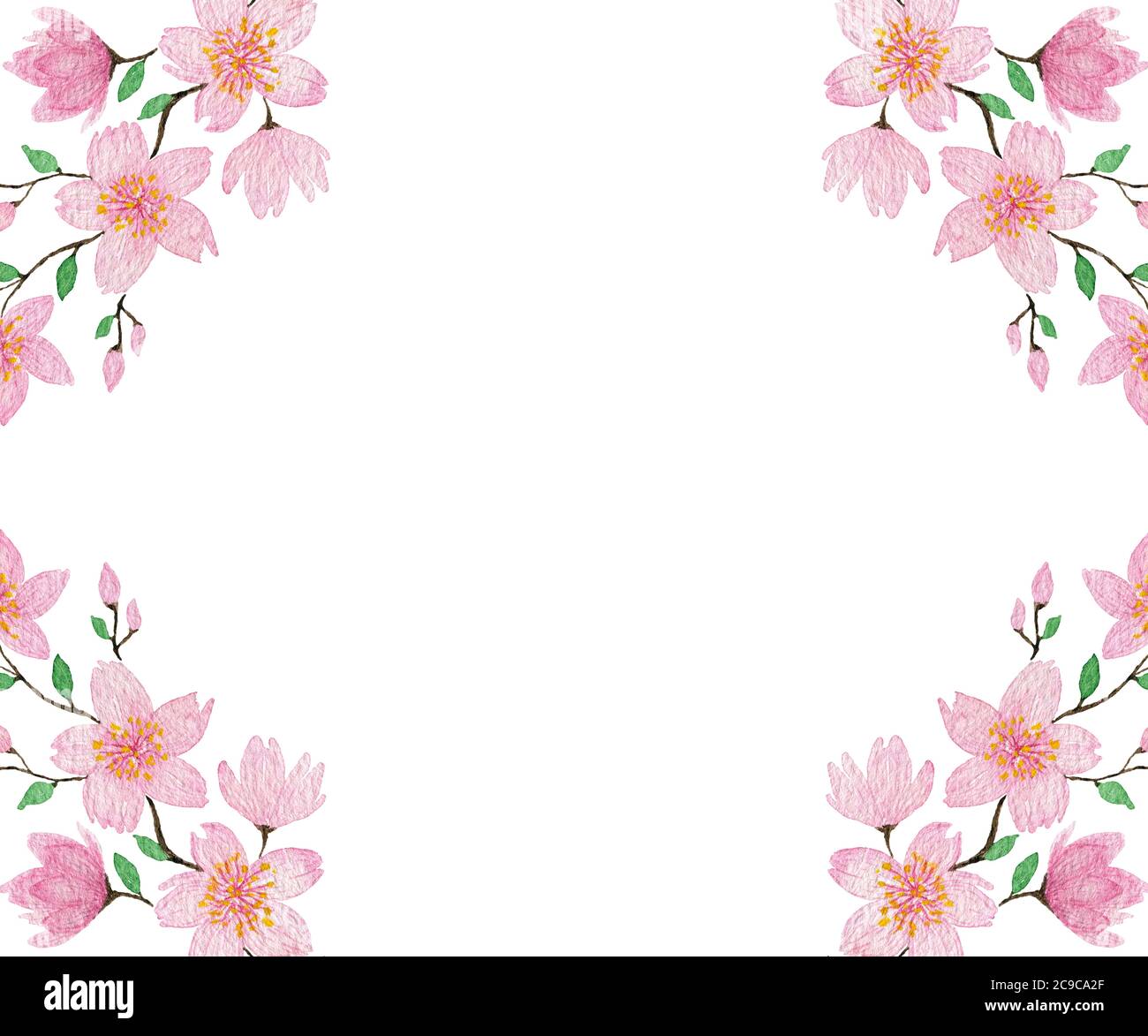 cadre de fleur de cerisier aquarelle, illustration botanique de fleur de sakura pour les voeux, cartes, fête des mères, motif de vacances de pâques Banque D'Images