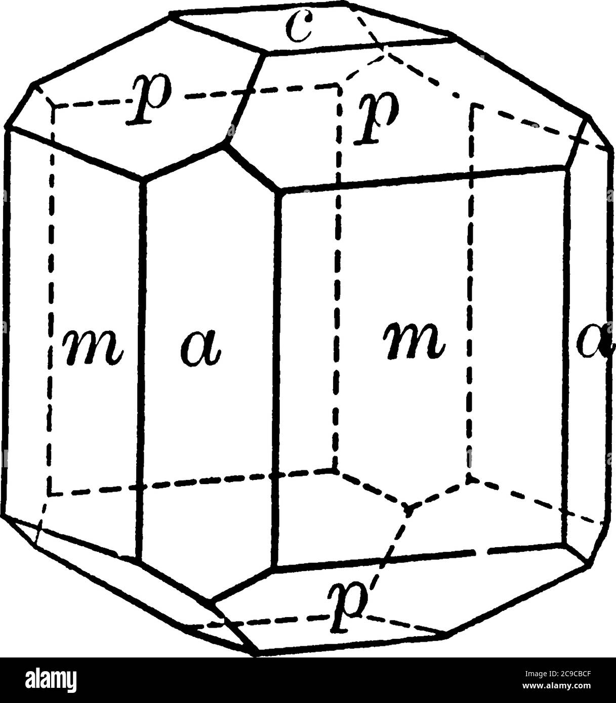 Une Vesuvianite, un dessin de ligne vintage ou une illustration de gravure. Illustration de Vecteur