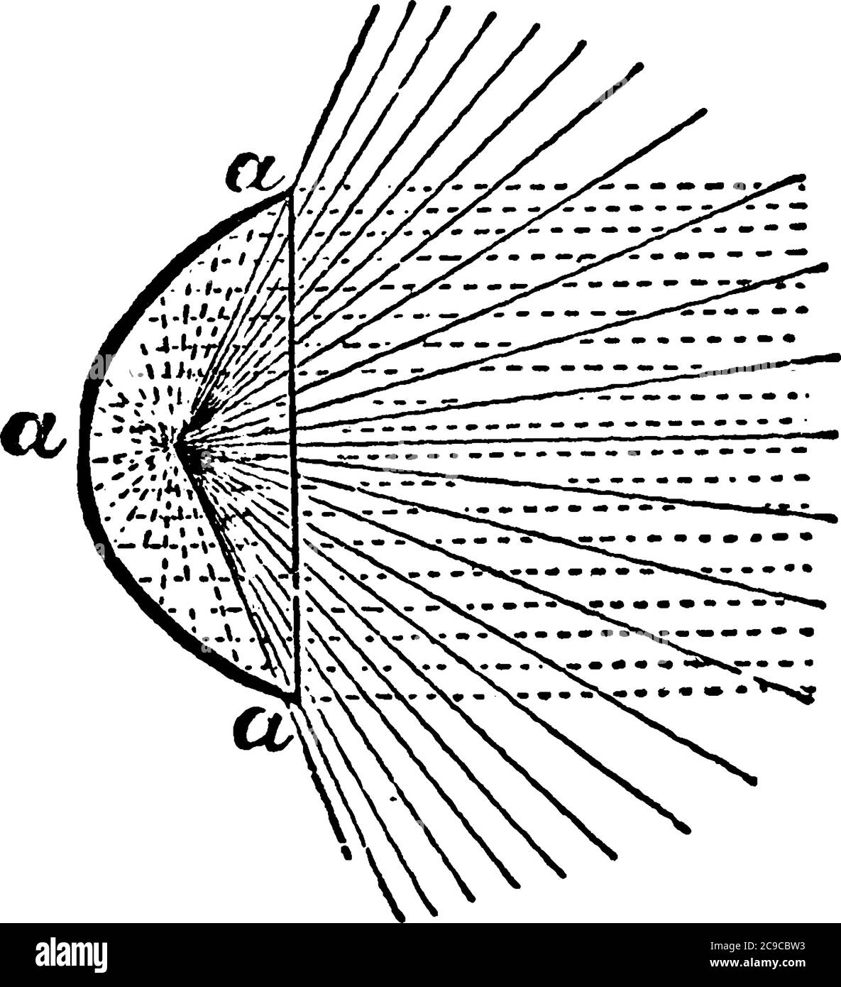 Observé que le miroir parabolique a est au mieux mais un instrument très imparfait, même si le radiant était strictement un point mathématique, le cône Illustration de Vecteur