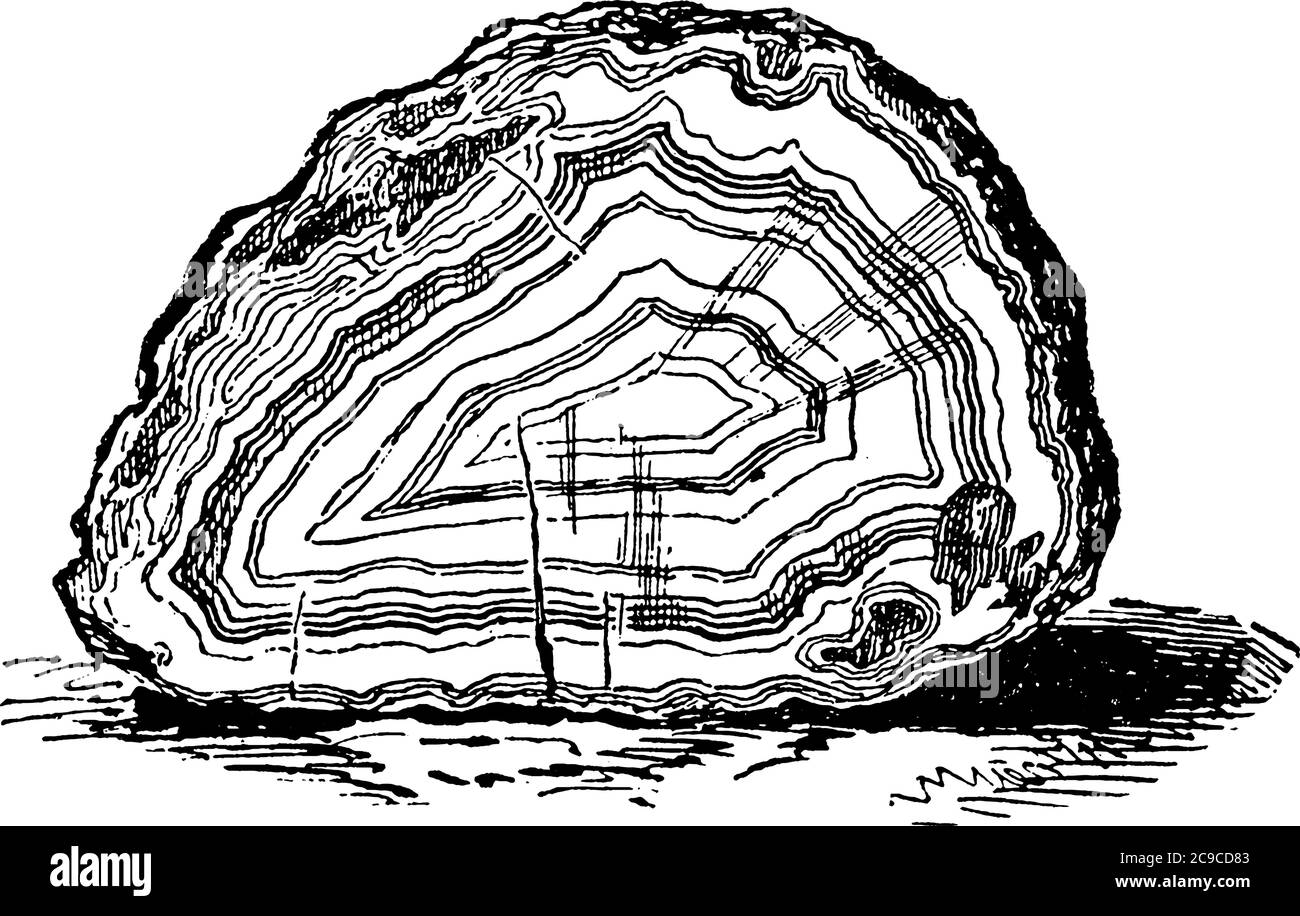 Une pierre à l'agate polie en forme de cercle, un dessin de ligne vintage ou une illustration de gravure. Illustration de Vecteur