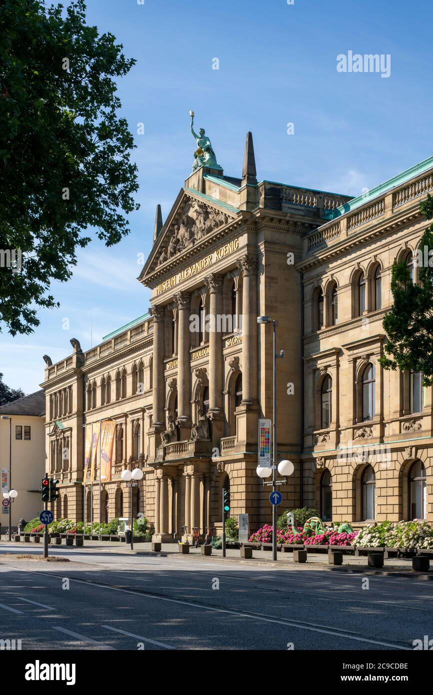 Bonn, Museumsmeile, Zoologische Forschungsmuseum Alexander Koenig, Museum Koenig, 1912-1934 von Gustav Holland erbaut, Fassadenschmuck von Karl Menser Banque D'Images