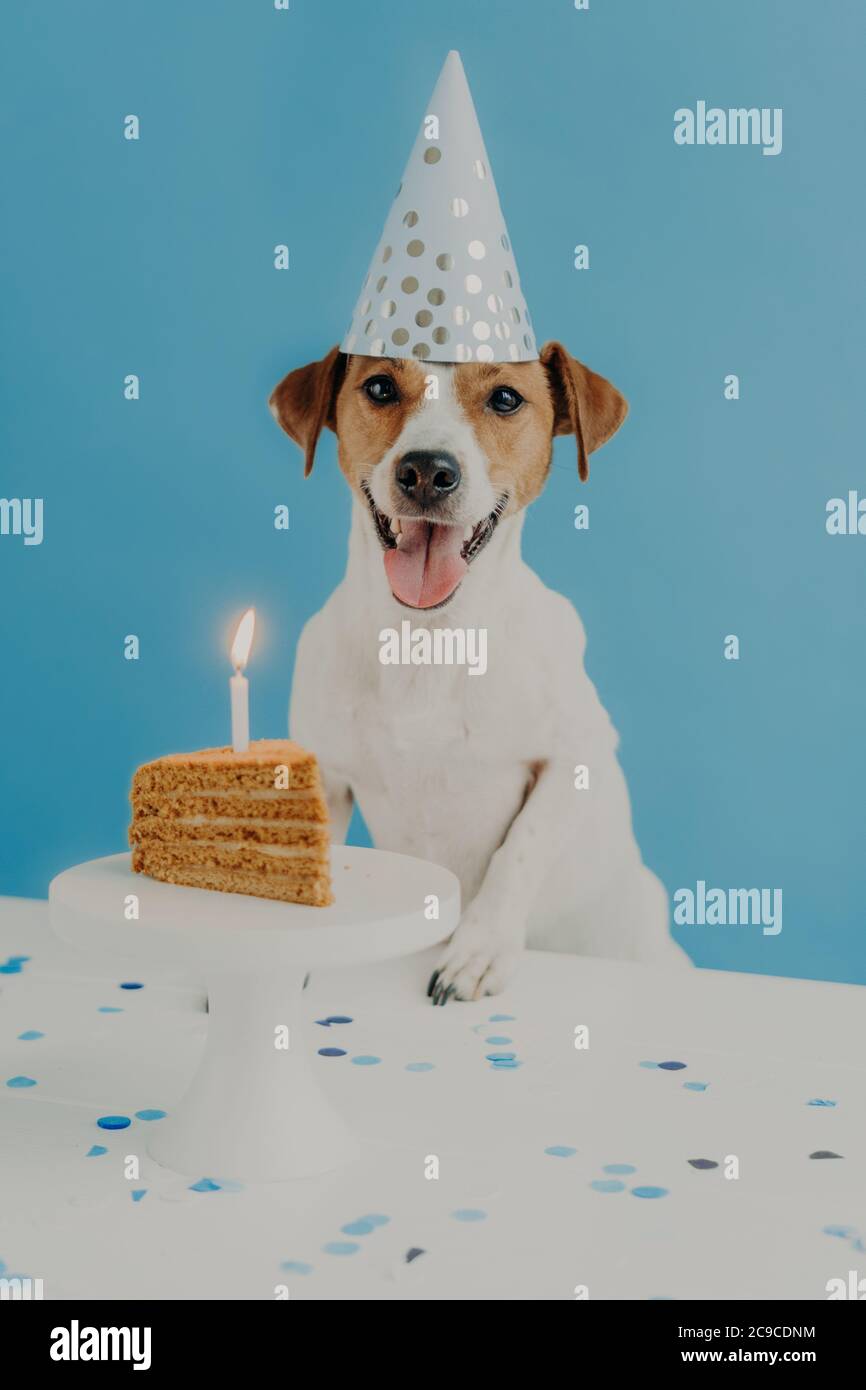 Birthday Congratulation Banque D Image Et Photos Alamy Birthday Congratulation Banque D Image Et Photos Alamy