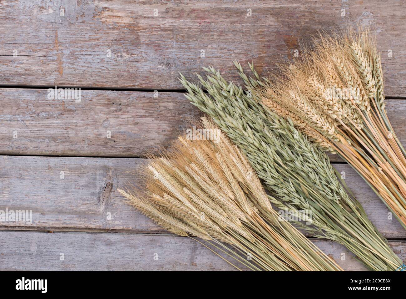 Épis de céréales sur fond de bois, vue de dessus. Banque D'Images Épis de céréales sur fond de bois, vue de dessus. Banque D'Images