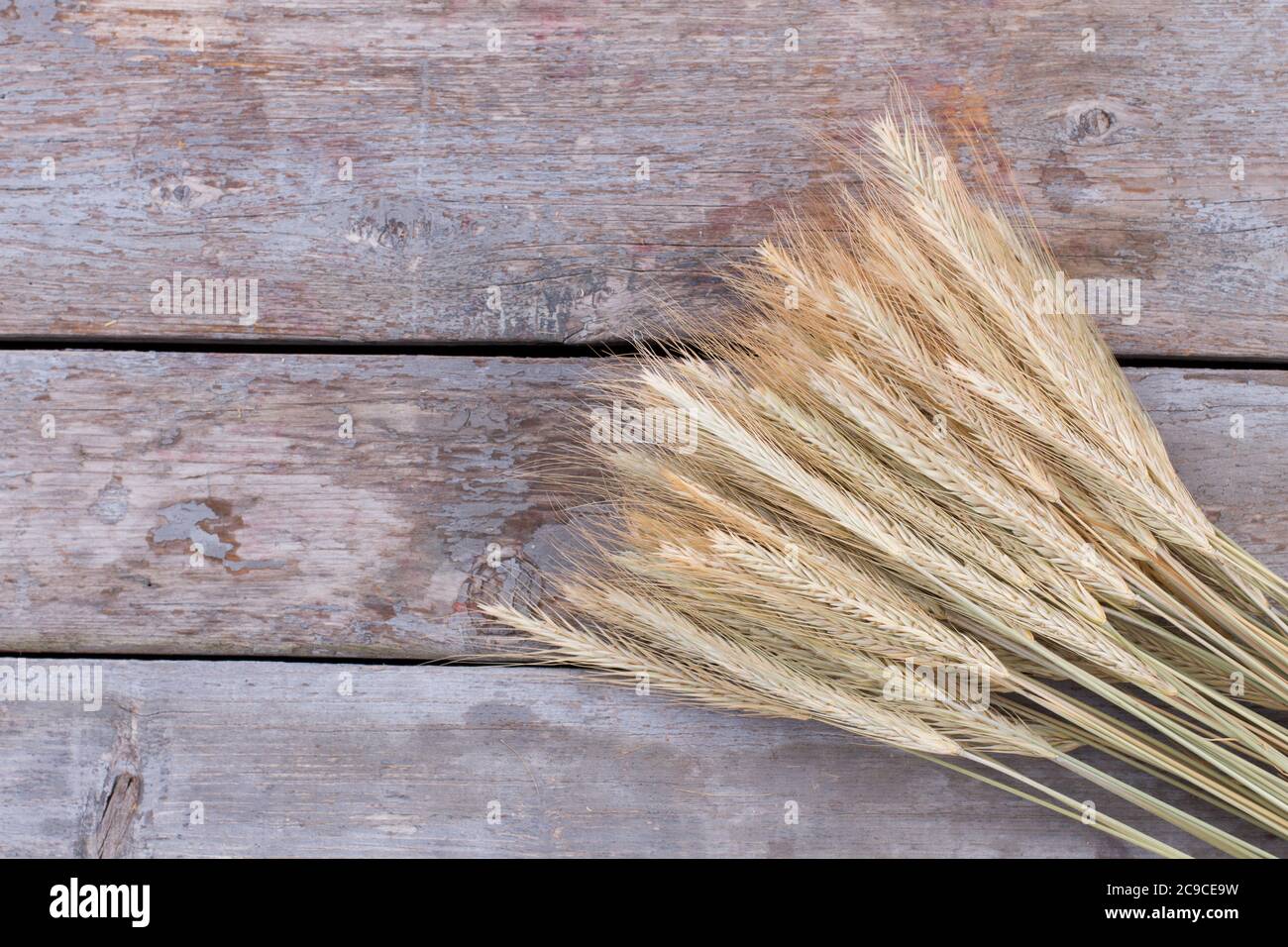 Sheaf d'épis de blé, vue de dessus. Banque D'Images Sheaf d'épis de blé, vue de dessus. Banque D'Images