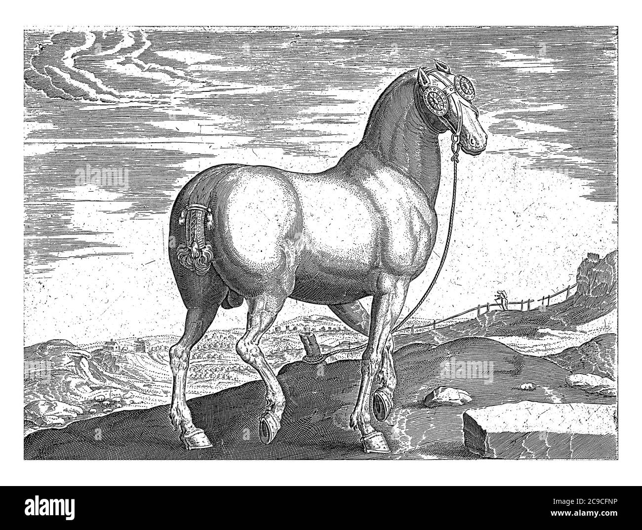 Cheval de Corse, anonyme, d'après Hans Collaert (I), d'après Hendrick Goltzius, d'après Jan van der Straet, 1624 - avant 1648 UN cheval Corse, vu f Banque D'Images