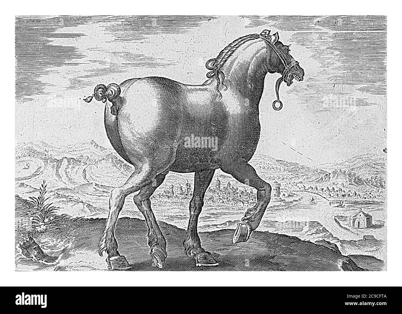Cheval de Saxe, anonyme, d'après Hieronymus Wierix, d'après Jan van der Straet, 1624 - avant 1648 UN cheval saxon dans un paysage vu de derrière, vin Banque D'Images
