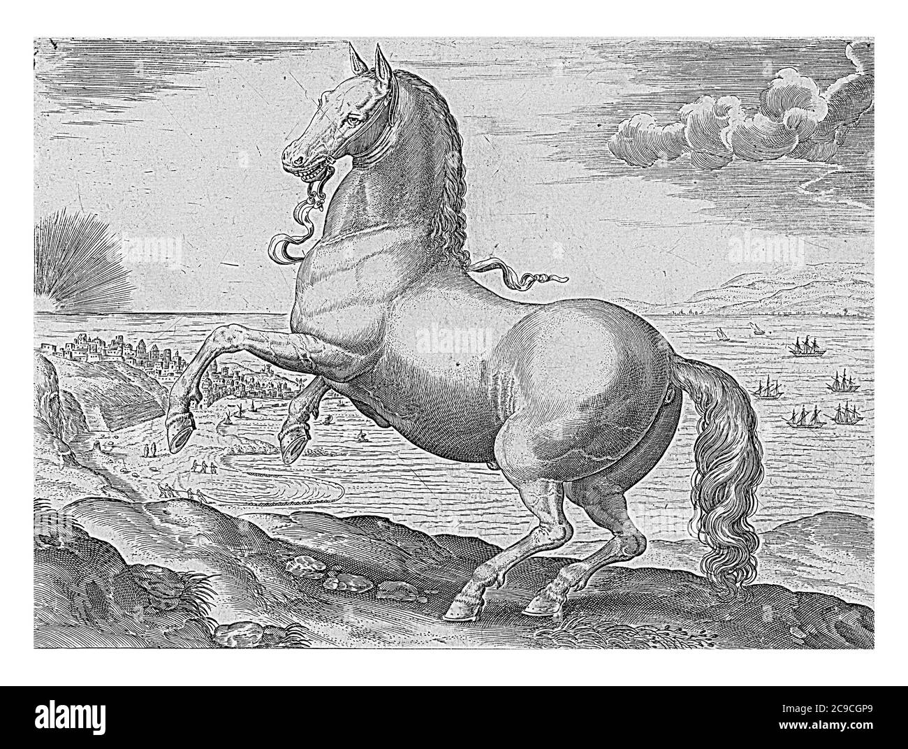 Cheval d'Espagne, anonyme, d'après Hendrick Goltzius, d'après Jan van der Straet, 1624 - avant 1648 UN cheval espagnol dans un paysage, gravure vintage. Banque D'Images
