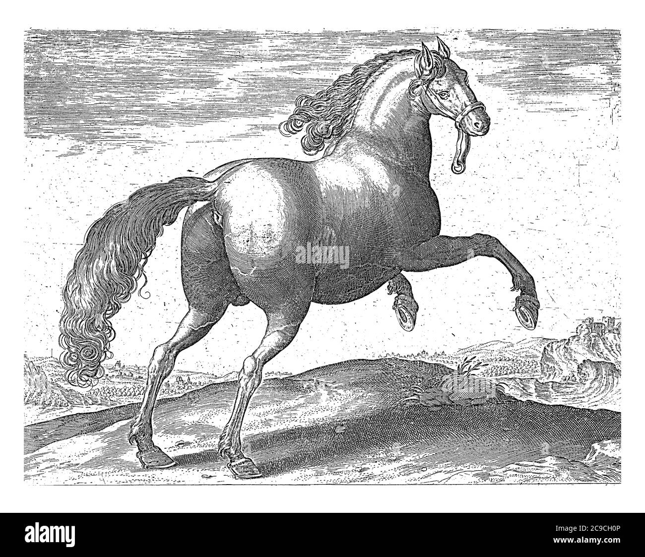 Cheval d'Espagne, anonyme, d'après Hieronymus Wierix, d'après Jan van der Straet, 1624 - avant 1648 UN cheval espagnol dans un paysage, gravure vintage. Banque D'Images