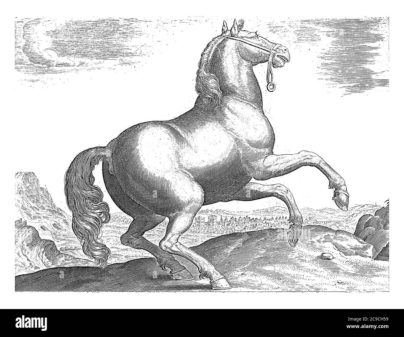 Cheval de France, anonyme, d'après Hieronymus Wierix, d'après Jan van der Straet, 1624 - avant 1648 UN cheval français dans un paysage, gravure vintage. Banque D'Images