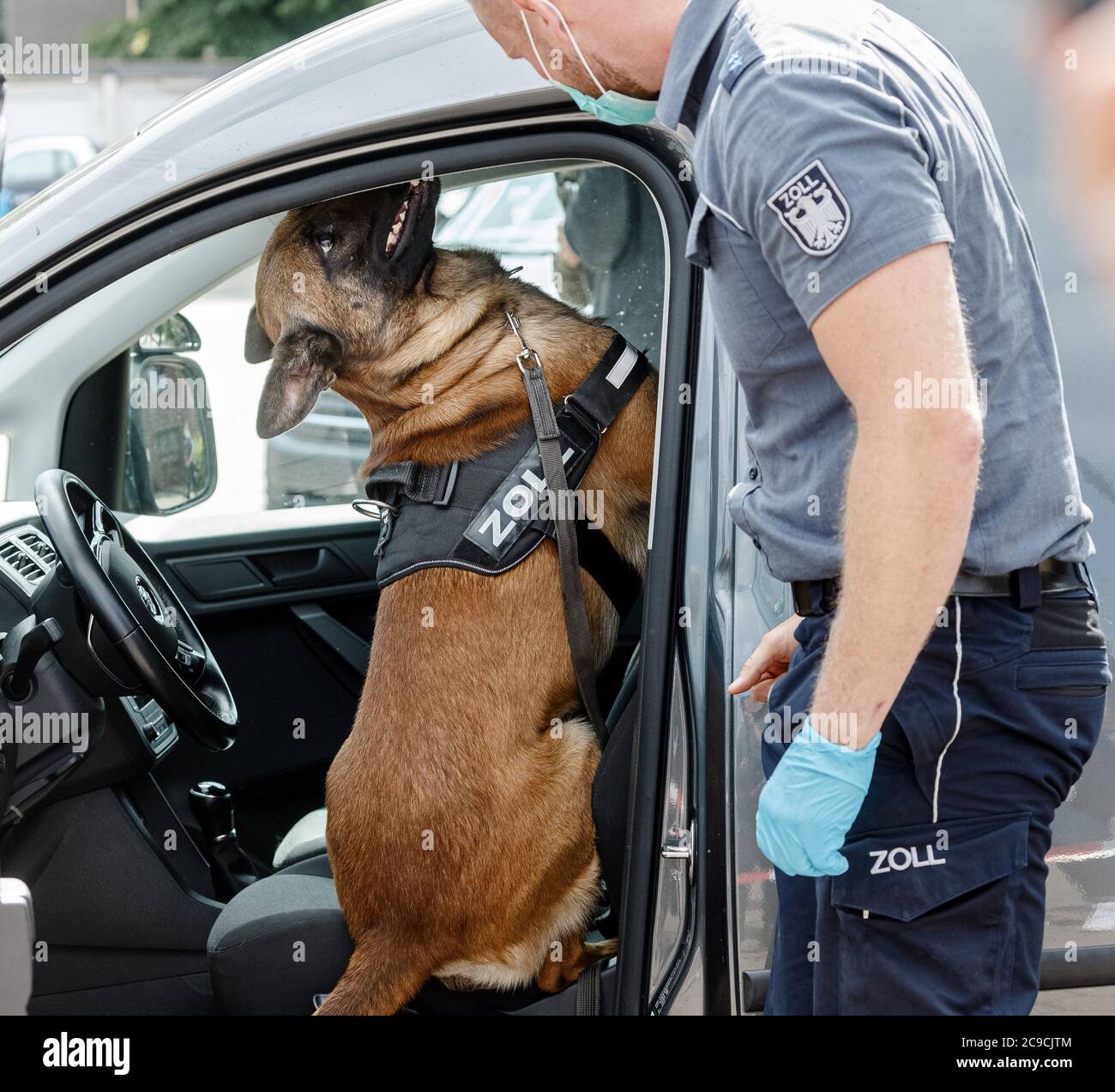 Hambourg, Allemagne. 30 juillet 2020. Un chien de protection et de détection des drogues de la douane cherche des drogues dans un véhicule lors d'un exercice dans les locaux du bureau de douane principal de Hambourg (HZA). Credit: Markus Scholz/dpa/Alay Live News Banque D'Images