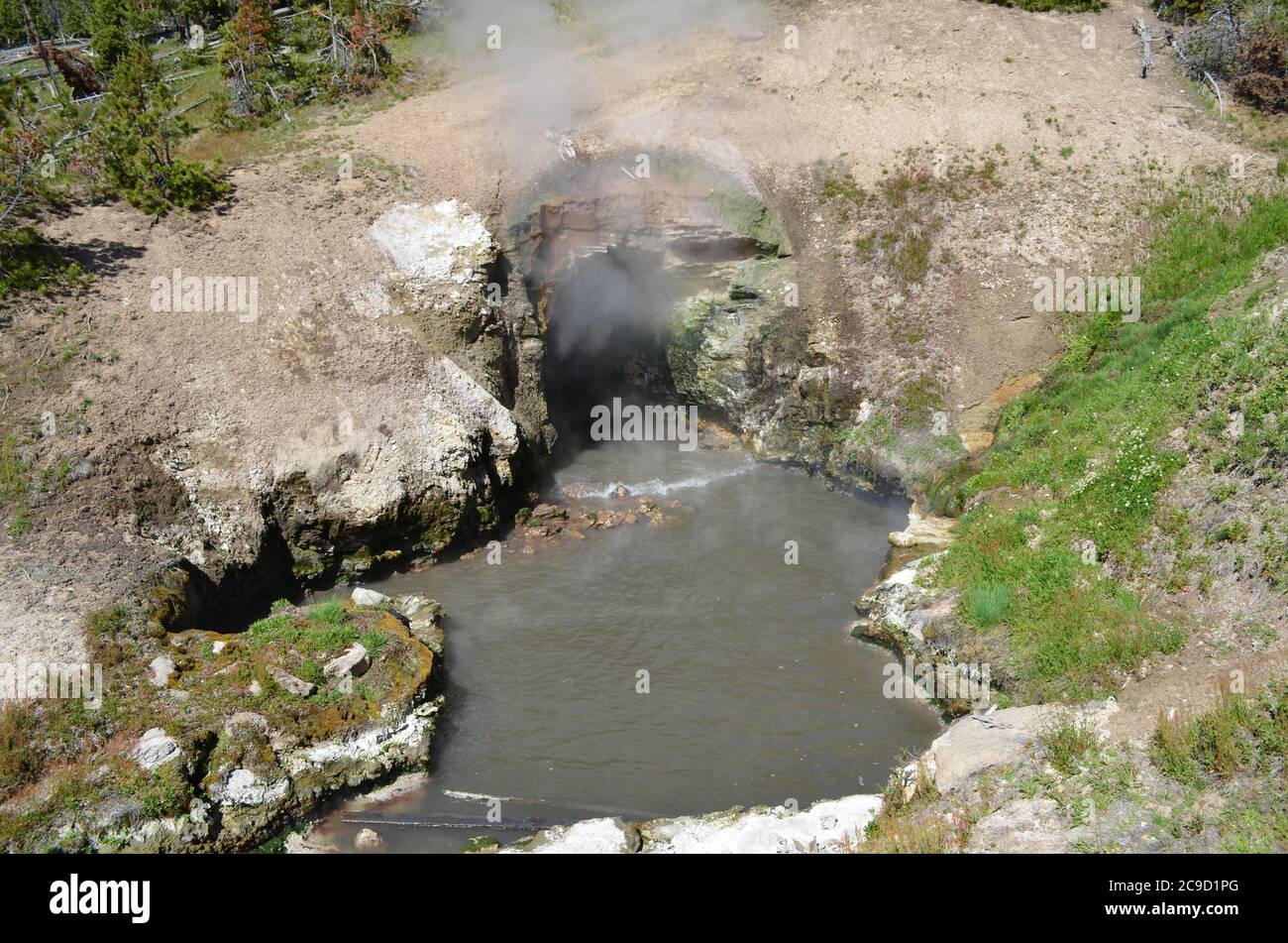 Fin du printemps dans le parc national de Yellowstone: Dragon's Mouth Spring dans la région du volcan Mud le long de la route Grand Loop Banque D'Images