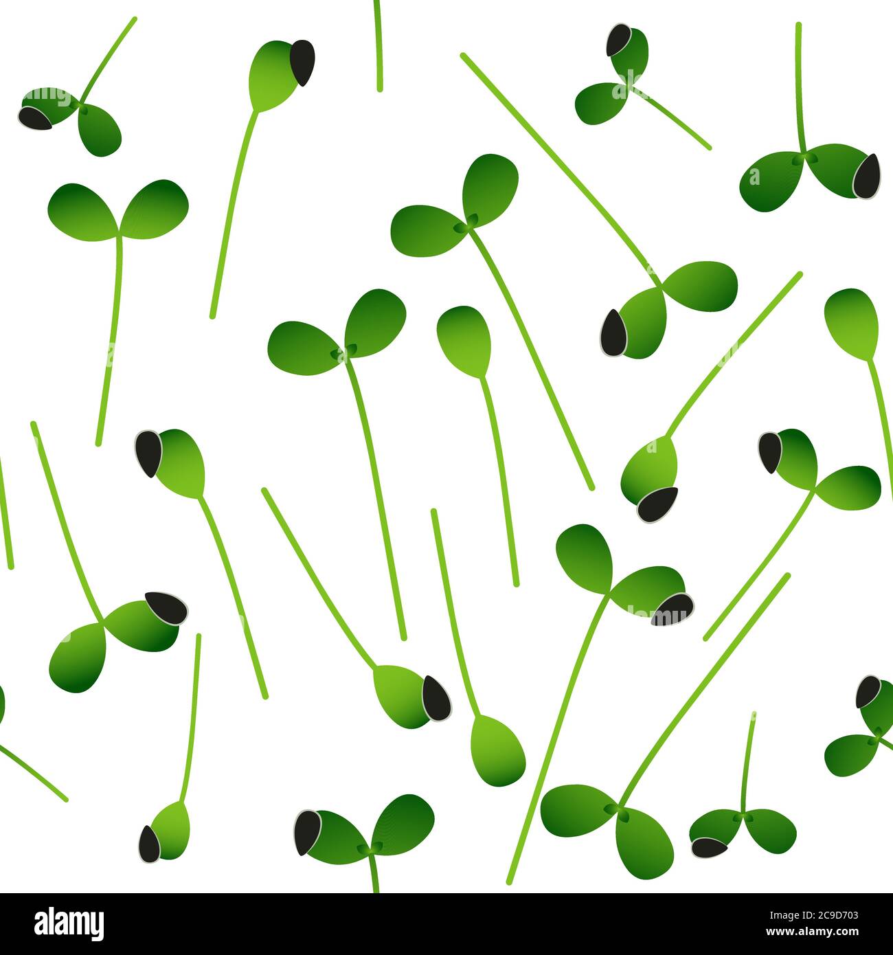 Tournesol Microgreens. Germination des graines d'une plante. Motif sans couture. Supplément de vitamine, nourriture végétalienne. Illustration de Vecteur