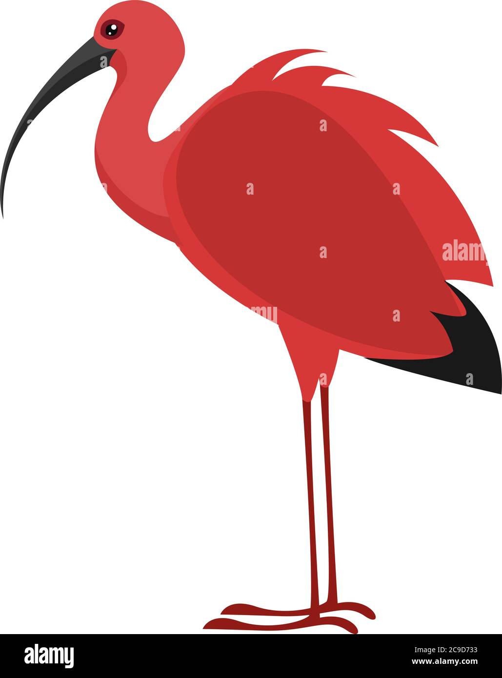Ibis Bird, illustration, vecteur sur fond blanc Illustration de Vecteur