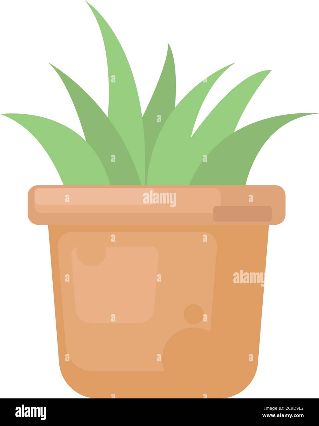 Cactus dans pot, illustration, vecteur sur fond blanc Illustration de Vecteur