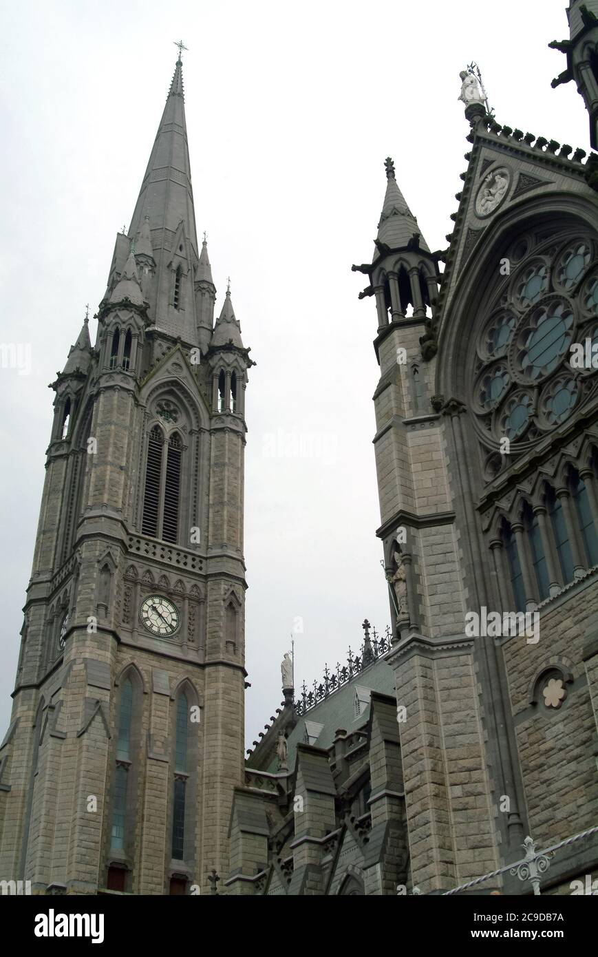 Cathédrale Saint-Colman, Cathédrale Église Saint-Colman, Cobh, an Cóbh, Comté de Cork, Irlande, Éire, Irland, Írország, Europe Banque D'Images