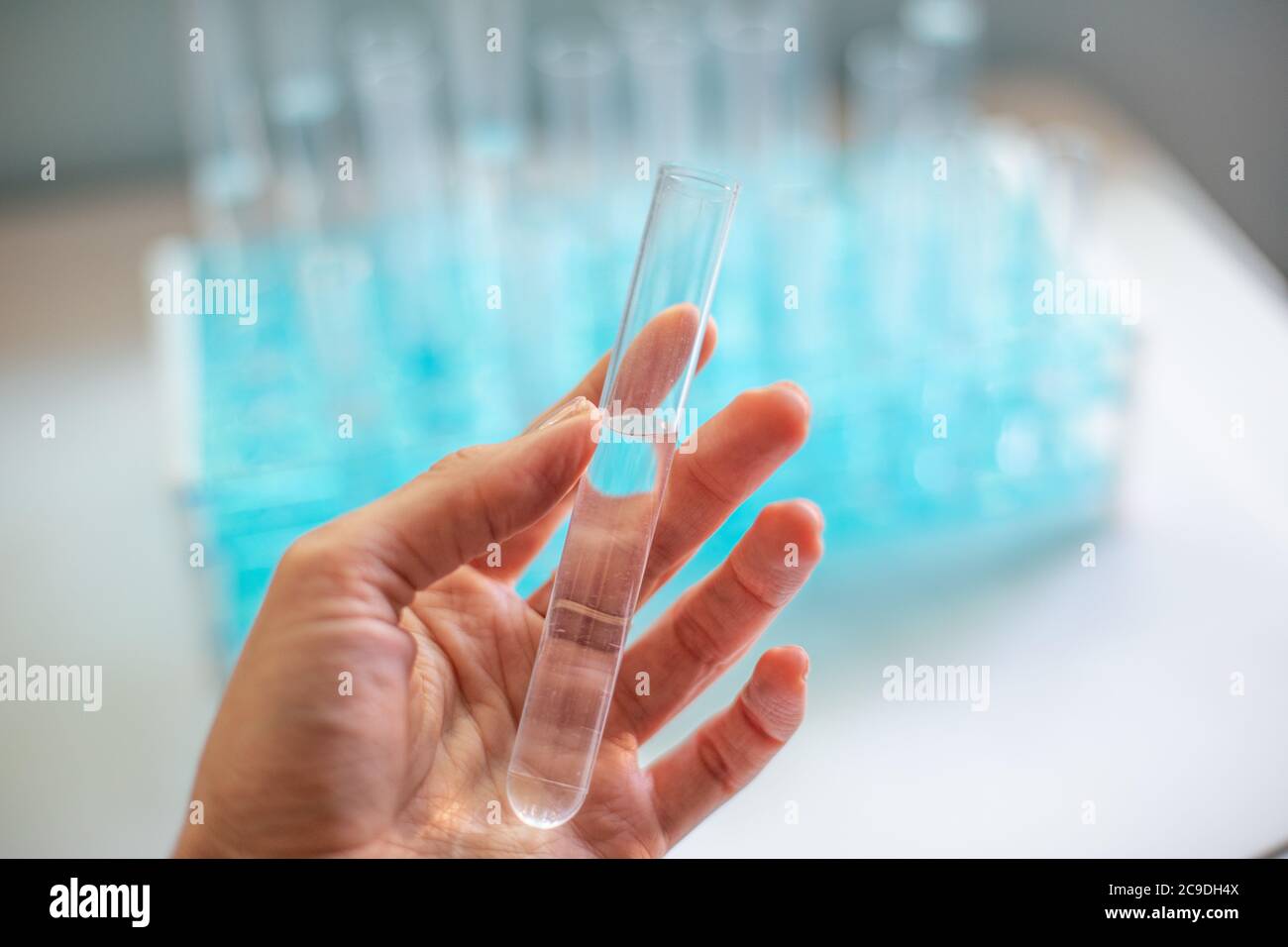Main tenant un tube à essai avec liquide transparent dans un laboratoire de biologie Banque D'Images