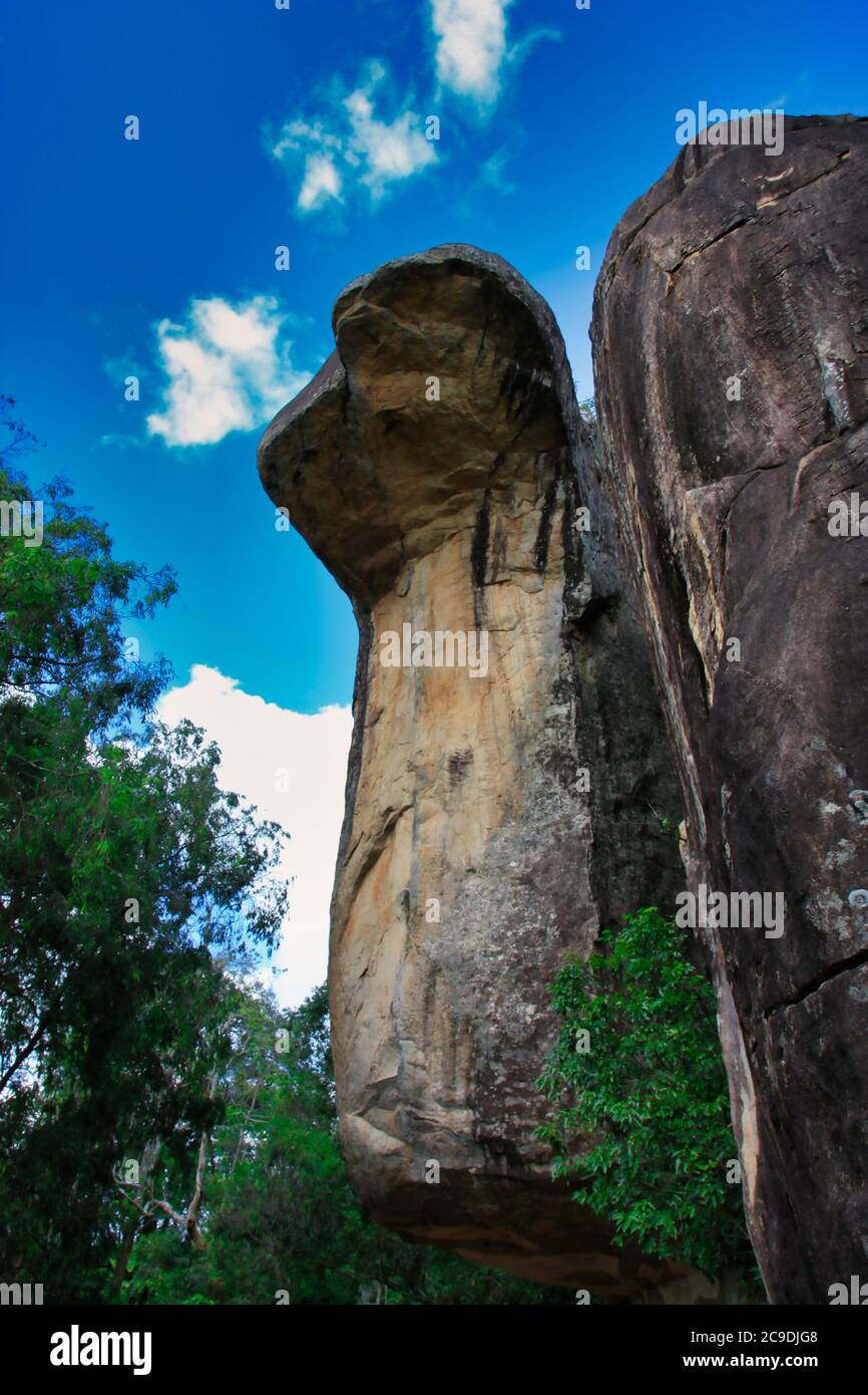 le grand rocher de cobra à sigiriya Banque D'Images