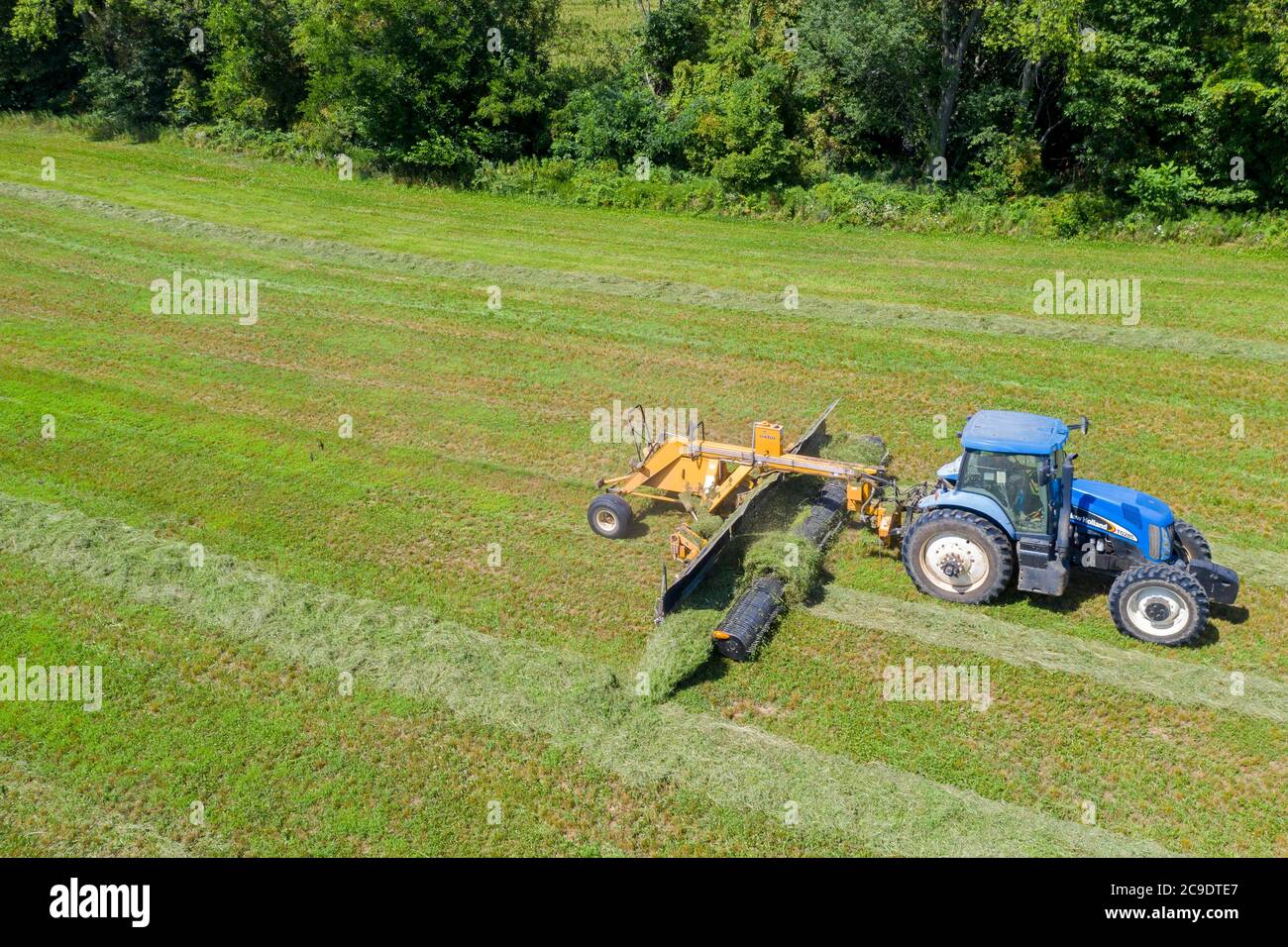 Hopkins, Michigan - UN tracteur tire un râteau à foin dans un champ, en empilant le foin dans des andains. Banque D'Images