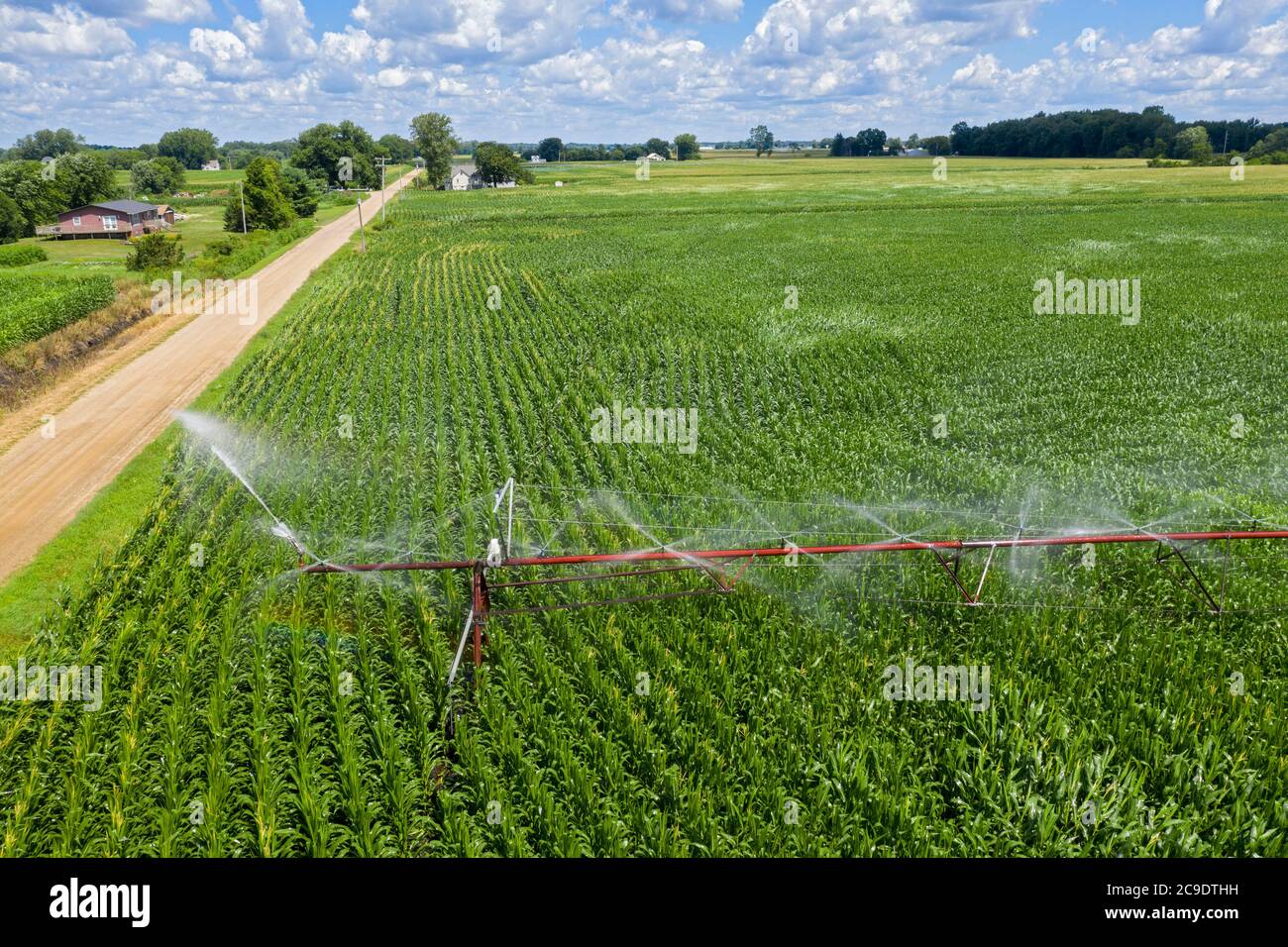 Martin, Michigan - UN système d'irrigation à pivot central arrose un champ de maïs dans l'ouest du Michigan. Banque D'Images