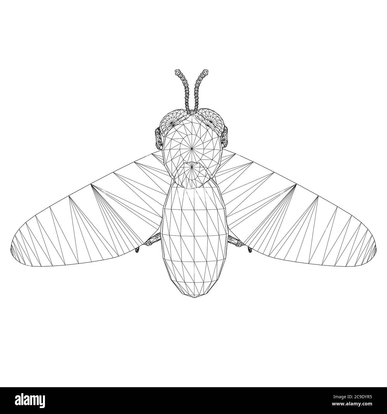 Abeille filaire. Vue de dessus. Abeille isolée sur fond blanc. Illustration vectorielle. Illustration de Vecteur