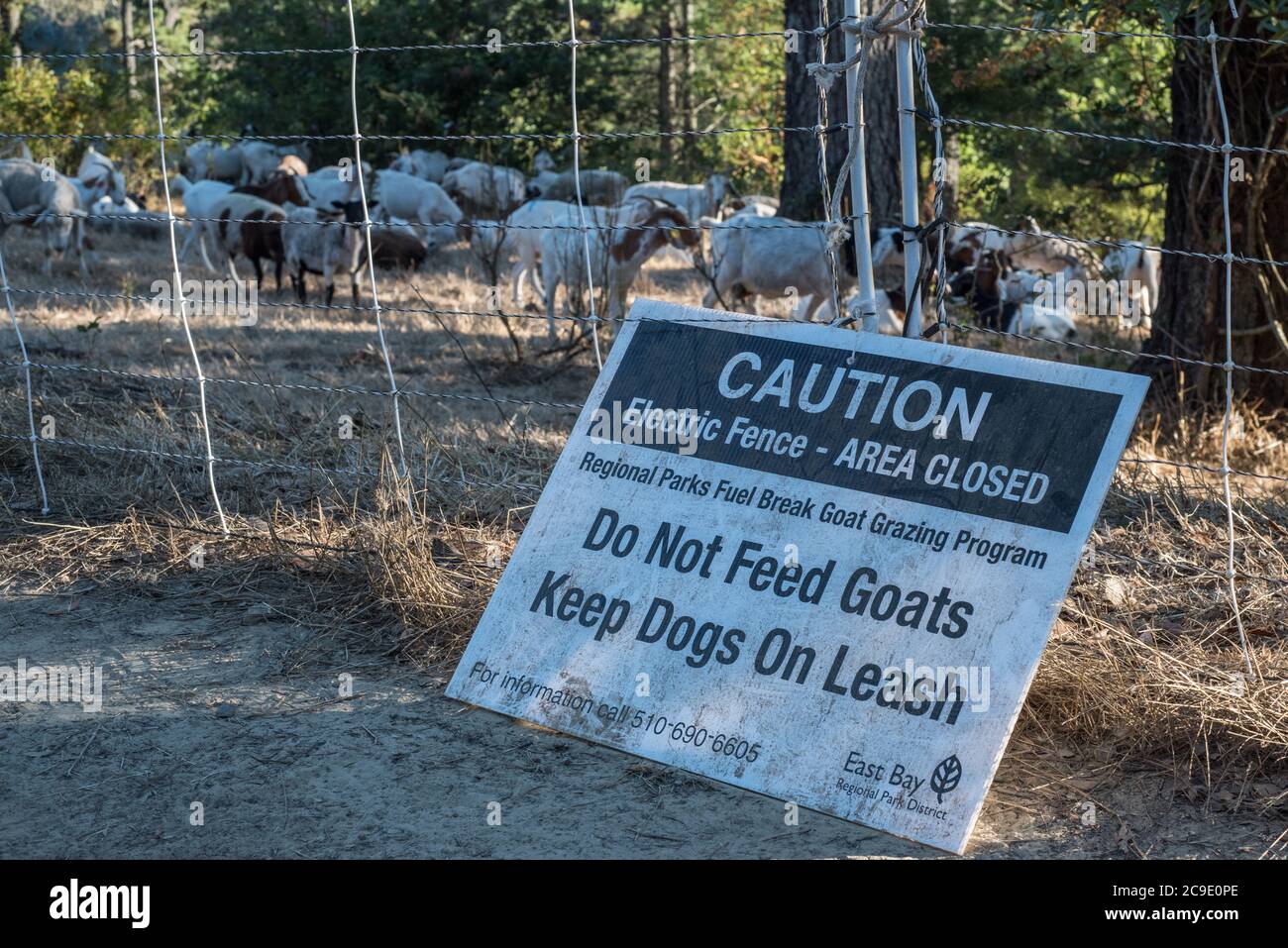 Un panneau avertissant les randonneurs au sujet de la fermeture d'une zone afin que les chèvres de contrôle d'incendie peuvent se brouter. Banque D'Images