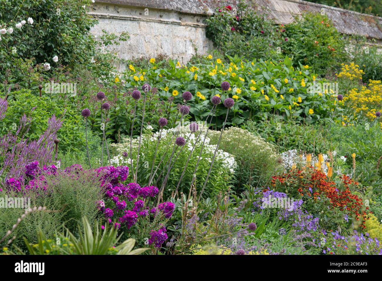 Bordure herbacée en juillet au jardin botanique d'Oxford. Oxford, Oxfordshire, Angleterre Banque D'Images