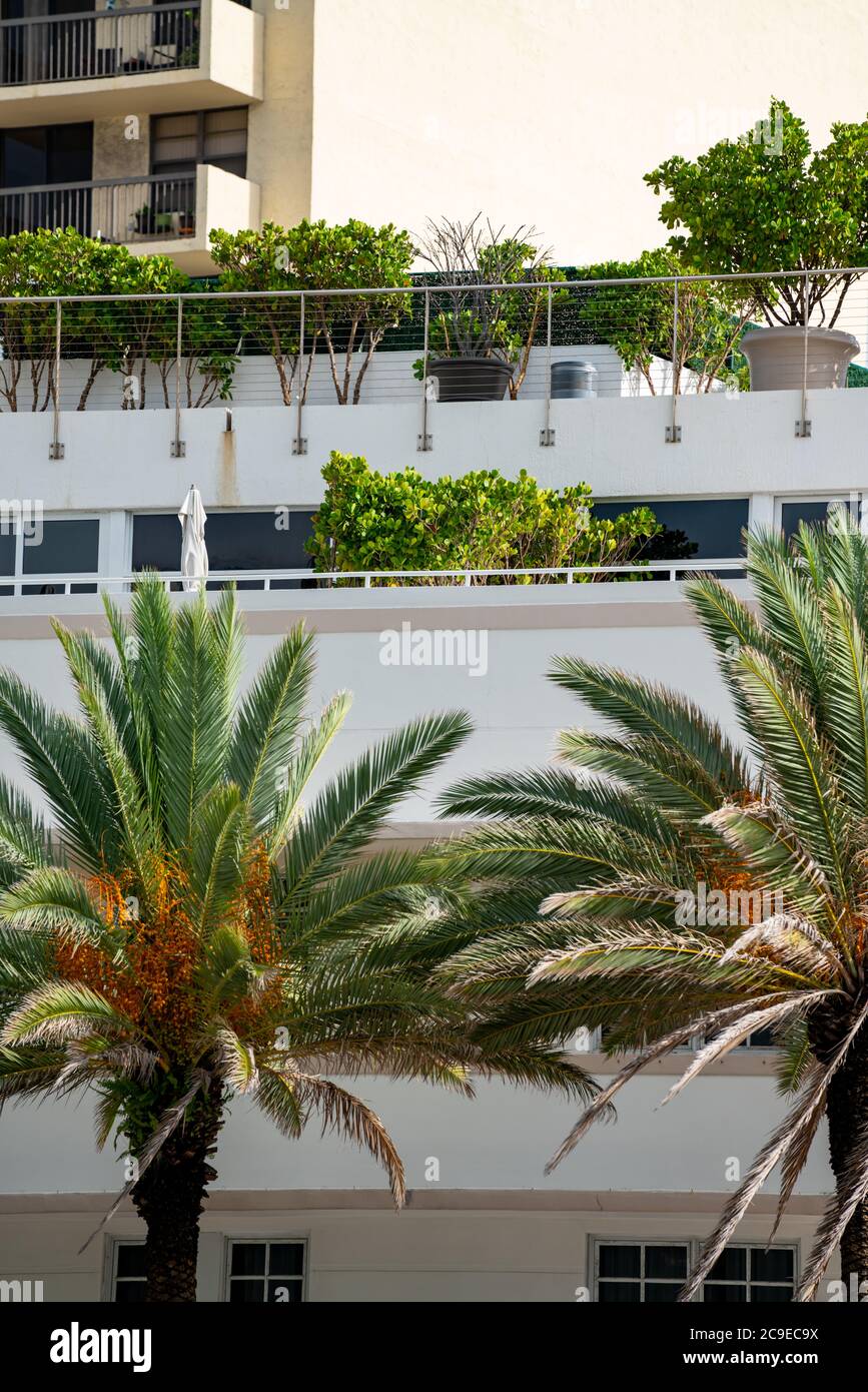 Photo des bâtiments et des palmiers Banque D'Images