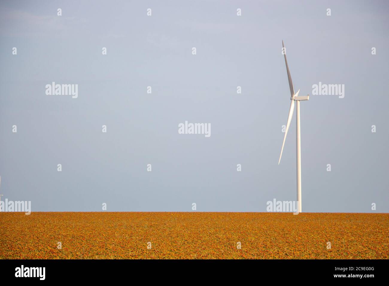 Concept de générateur d'énergie éolienne sur le terrain, production d'énergie écologique propre, contexte de l'espace de copie. Banque D'Images