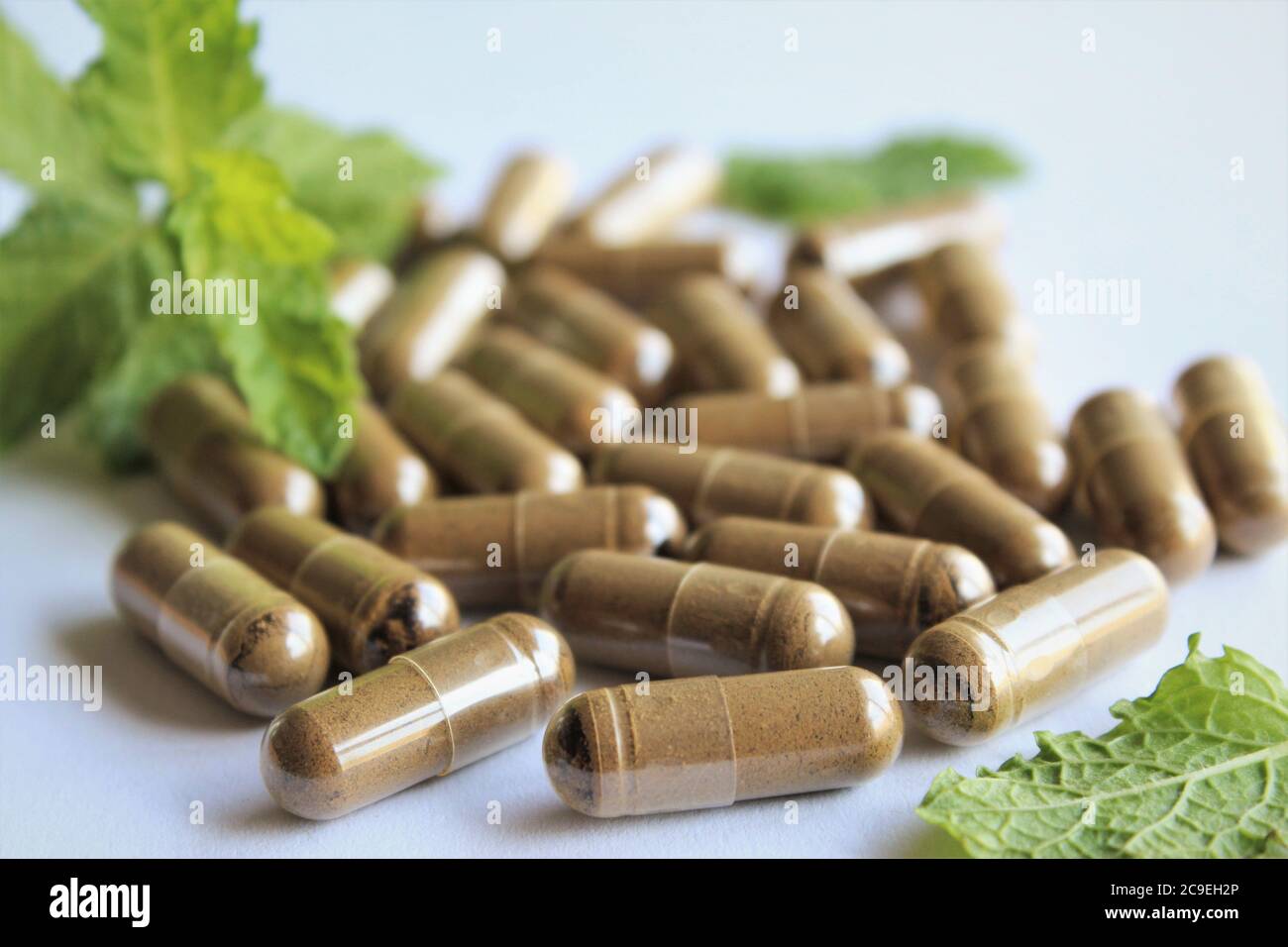 Capsules de médicaments à base de plantes. Stock photo isoler sur blanc Banque D'Images