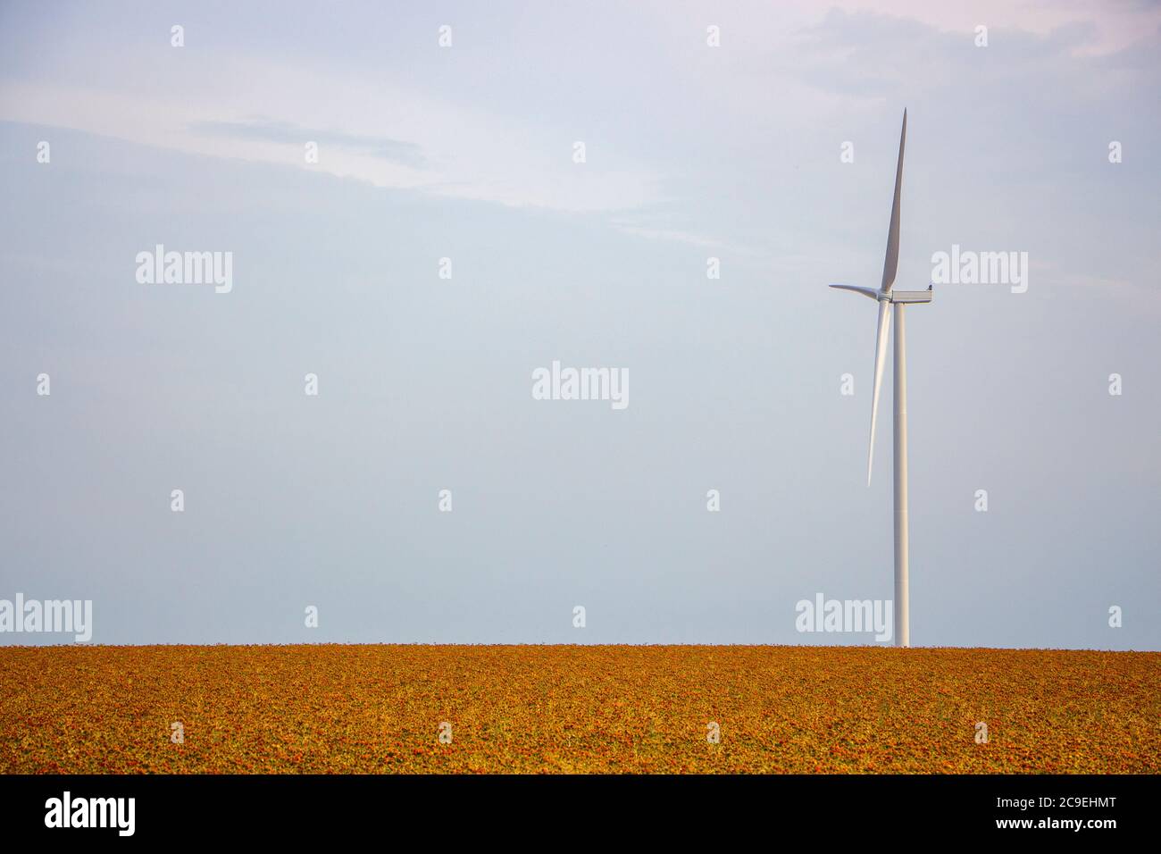 Le générateur de vent se trouve dans un champ, un moulin à vent solitaire dans la steppe sur un fond de no sans nuages, le concept de l'espace de copie. Banque D'Images