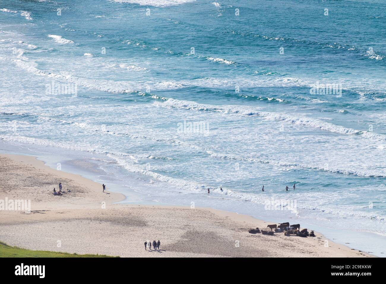 Whitepark Bay, co Antrim, en Irlande du Nord Banque D'Images
