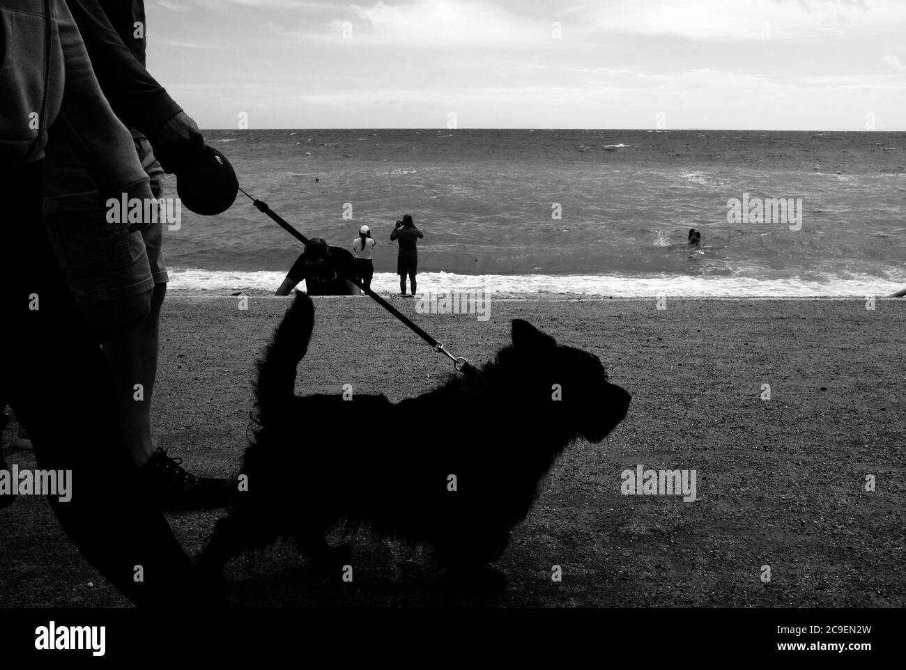 Marcher le chien en plomb sur le mur de la mer à Freshwater Bay sur l'île de Wight au bord de la mer. Banque D'Images