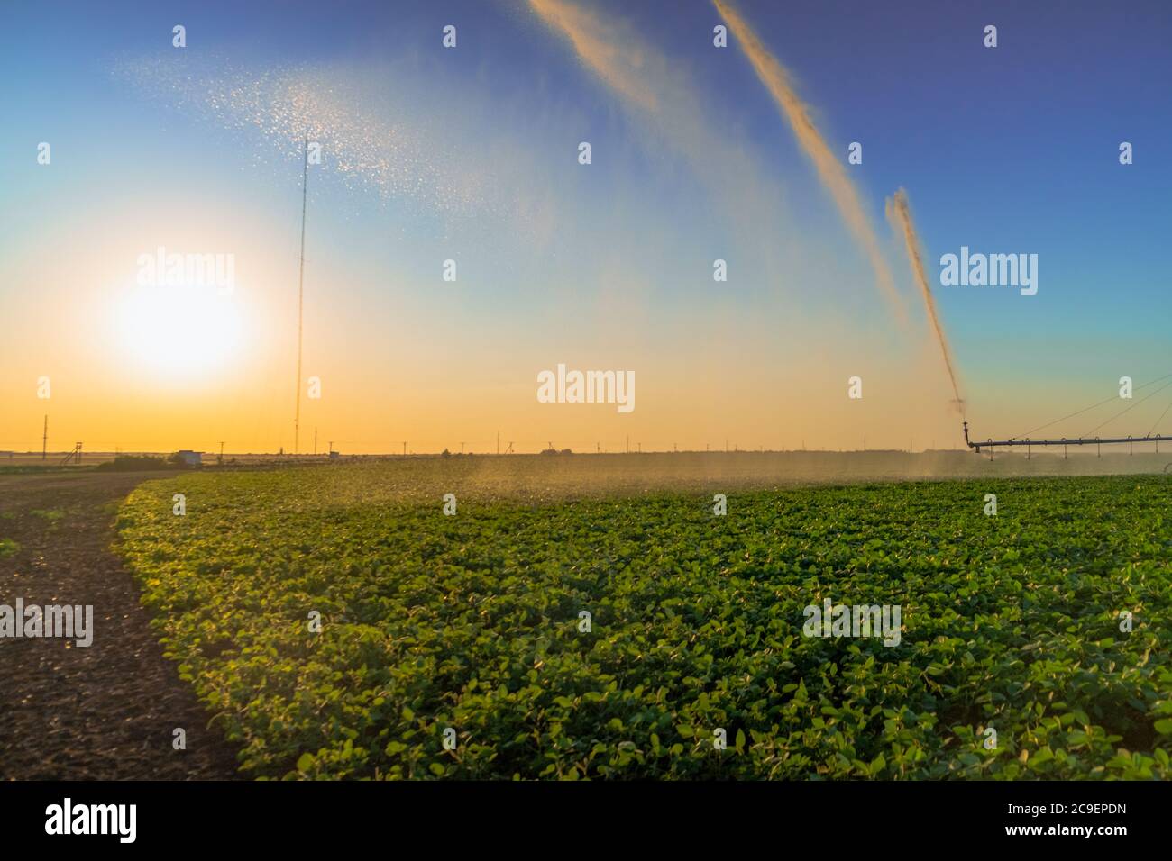 gicleurs de pluie du système d'irrigation sur le terrain agricole. Banque D'Images