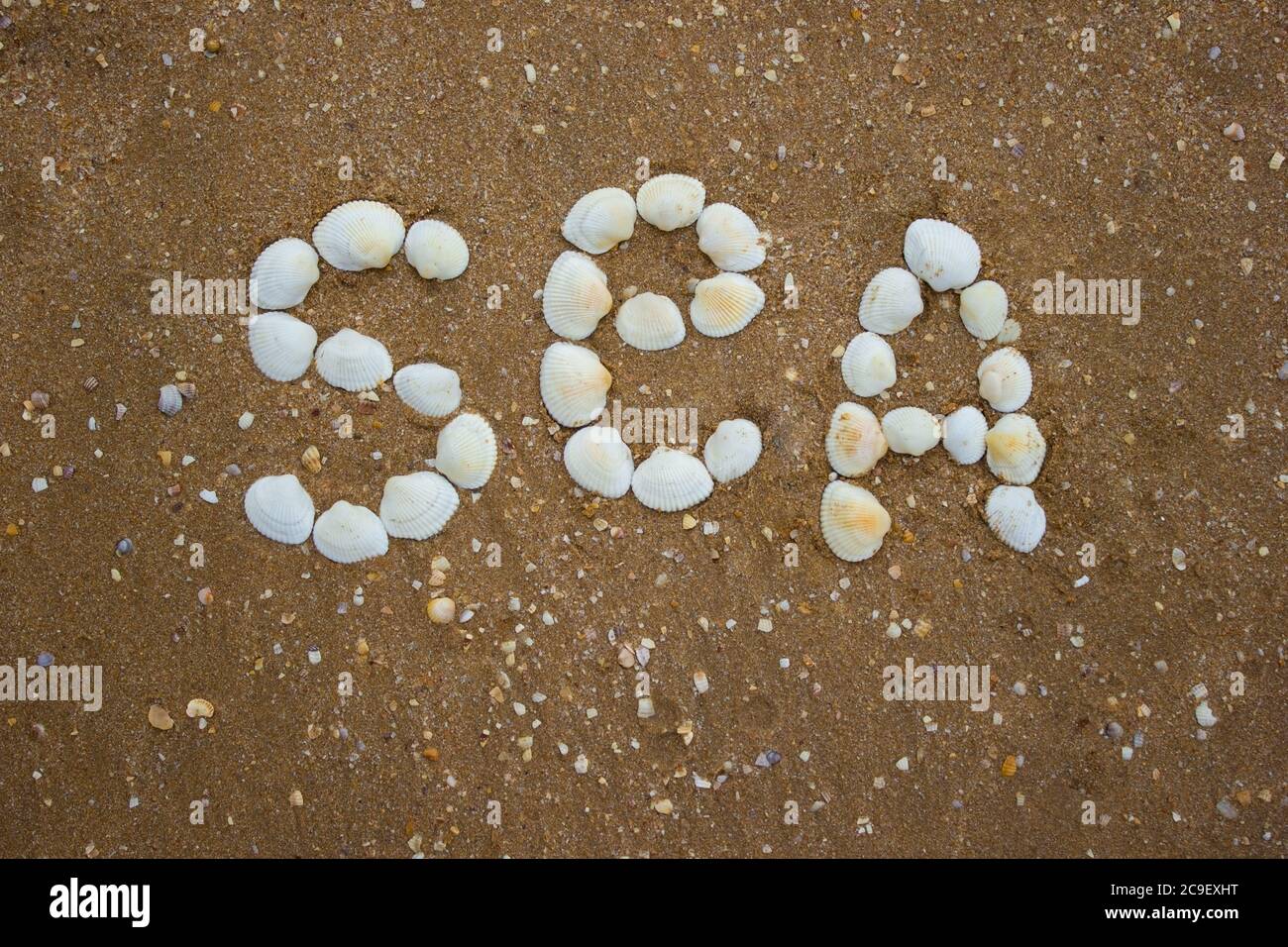 Inscription sur le sable des coquillages - la mer, le camping, le tourisme Banque D'Images