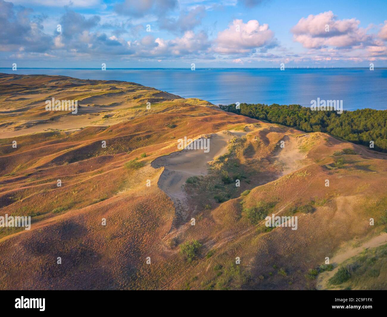 Magnifique paysage de Gray Dunes, Dead Dunes à la Curonian Spit à Nida, Neringa, Lituanie Banque D'Images