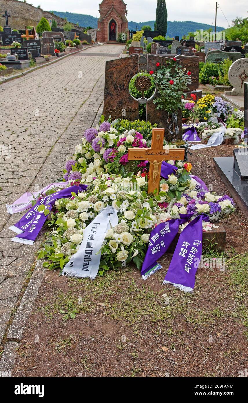Fleurs De Crucifix Banque d'image et photos Alamy