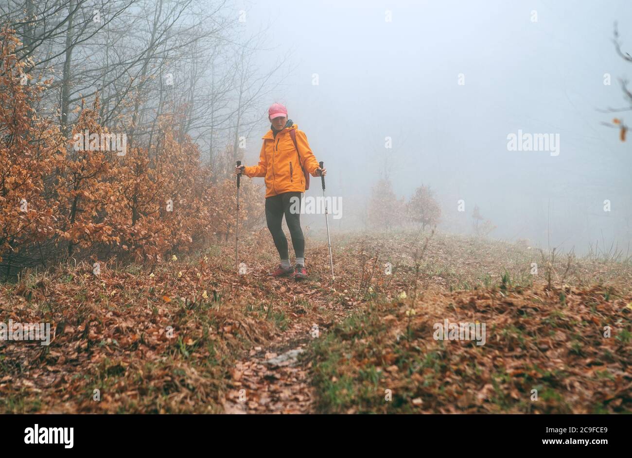 Vêtu d'une veste orange vif jeune femme routard marchant sur le chemin touristique en utilisant des bâtons de randonnée dans la forêt brumeuse d'automne. Des personnes actives et des autres Banque D'Images