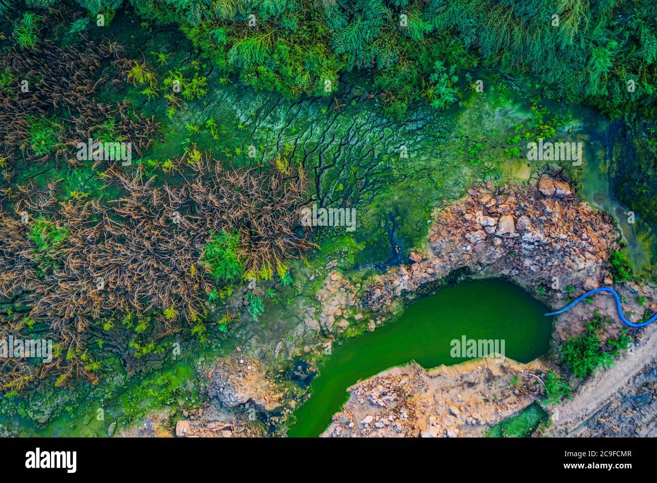 Pollution de l'eau dans l'environnement. Eau polluée - eau verte sale, déchets, déchets et déchets. Eau nocive, risque biologique toxique Banque D'Images