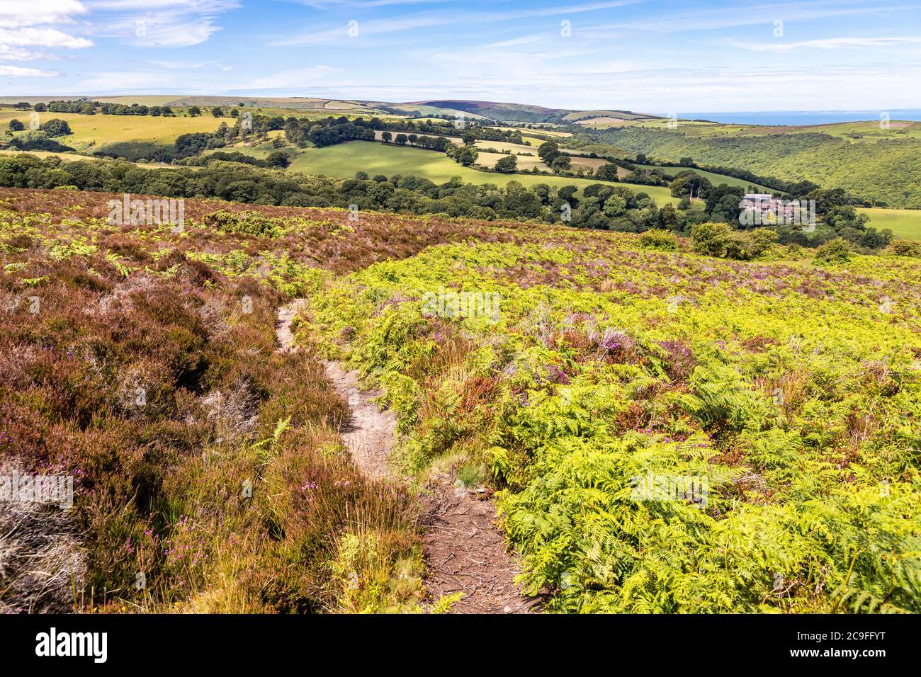 Parc national d'Exmoor - la vue vers Cluntsham depuis le chemin sur Dunkery Hill menant à Dunkery Beacon, Somerset Royaume-Uni Banque D'Images